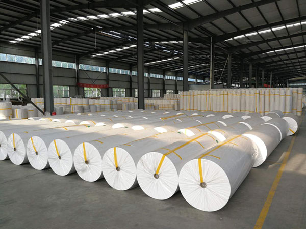 沙湖原种场狭缝式涤纶纺粘无纺布
